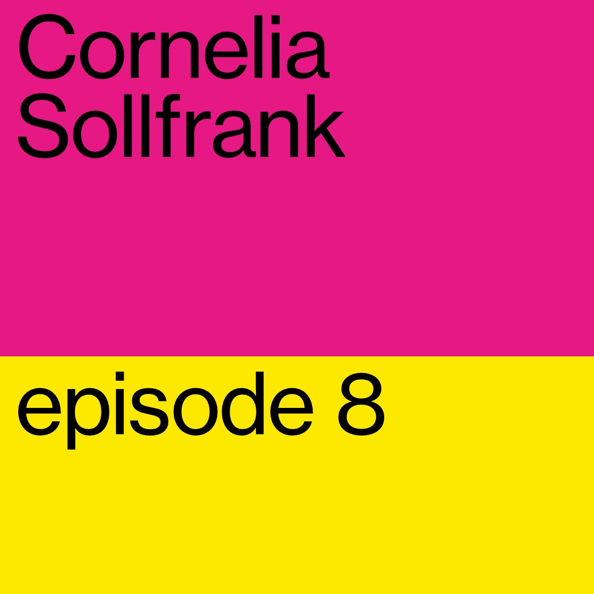 Cornelia Sollfrank: Hijacking the System